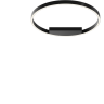 Потолочный светильник MAYTONI RIM MOD058CL-L35BK