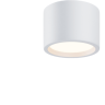 Потолочный светильник MAYTONI HYDRA C090CL-10W3K-W